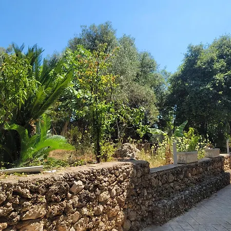 דירה Newborn With Pool